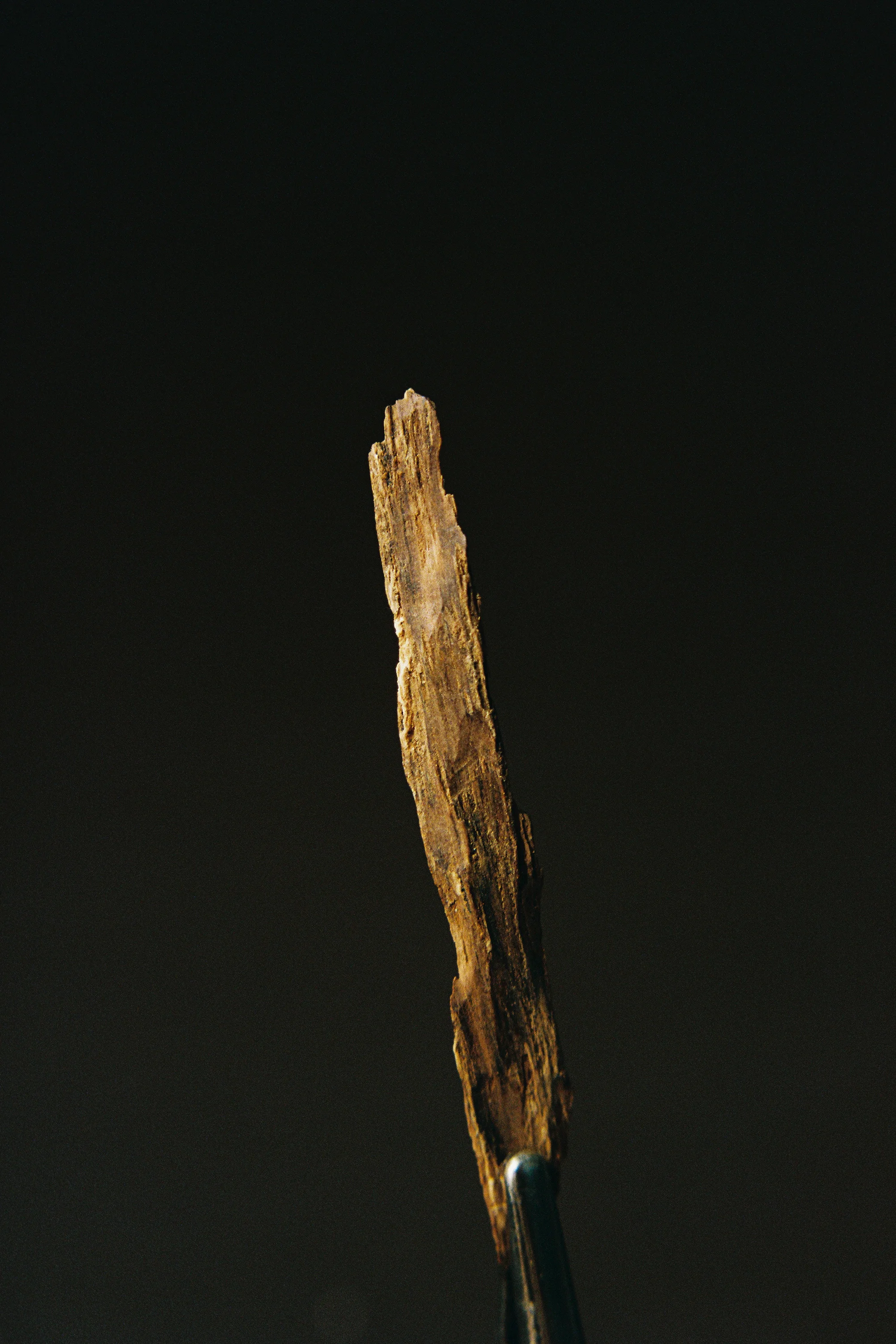 Agarwood: The King of Woods